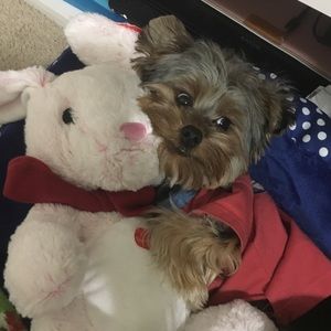 Meet your Posher, Duong